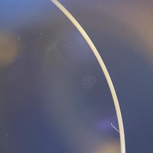 Kính đồng hồ Rolex  116231 116300 116400 116333 177210 118235