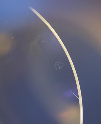 Kính đồng hồ Rolex  116231 116300 116400 116333 177210 118235